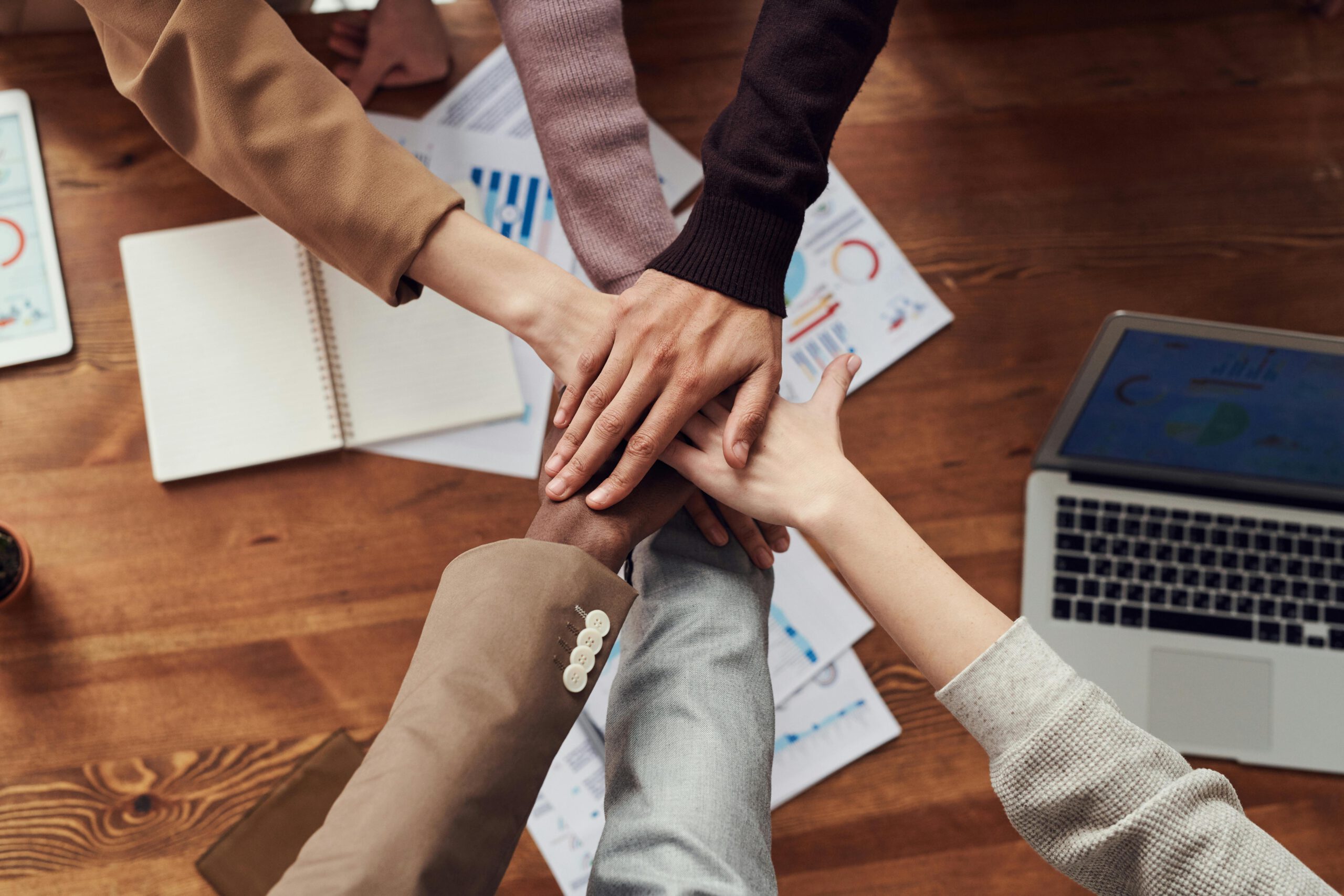 Diversity: Tailoring Solutions Across Various Categories
